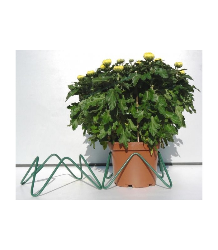 Porte-pot stabilisateur pour pots de fleurs